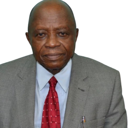 Prof. Oladele Osibanjo